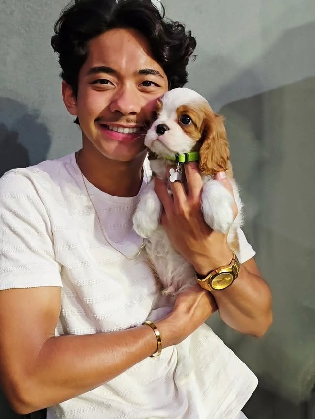 Cavalier King Charles Spaniel puppies raised in a clean, loving environment at Jeff Cavalier Home